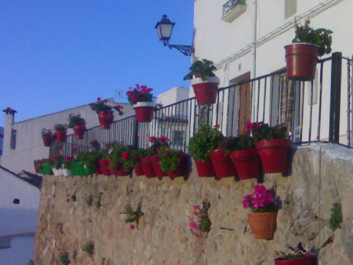 Casilla Dalea En Carcabuey, Descubre El Interior De Andalucia别墅 外观 照片
